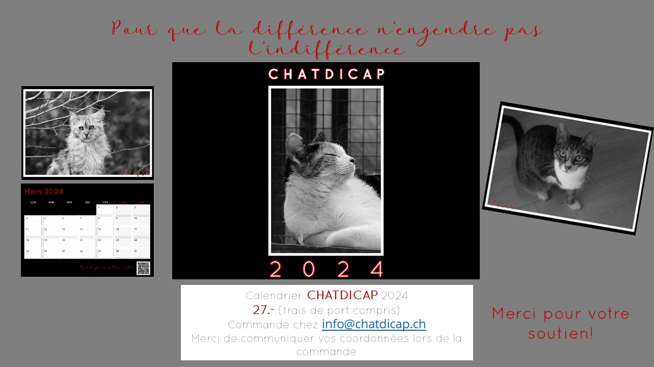calendrier 1